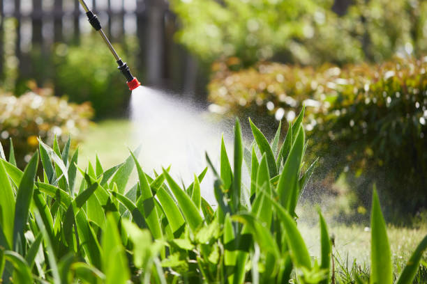 Tamper-Resistant Bait Stations for Rodents in Emma