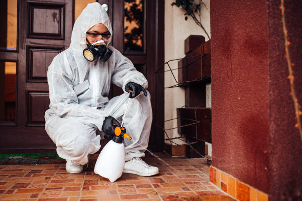 Attic and Crawl Space Rodent Treatment in Emma